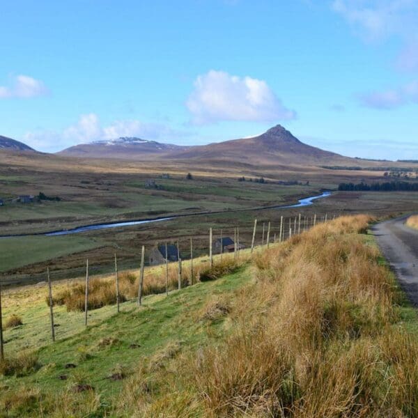 Above and Beyond Tours