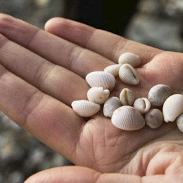 Above and Beyond Tours