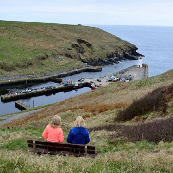 Above and Beyond Tours