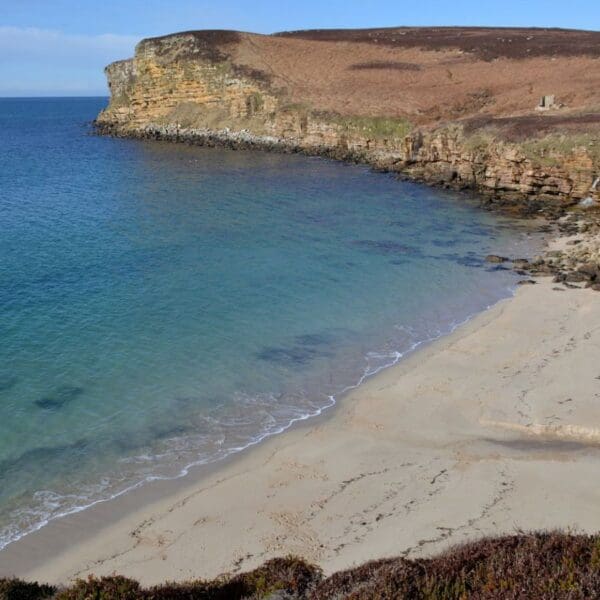 Above and Beyond Tours