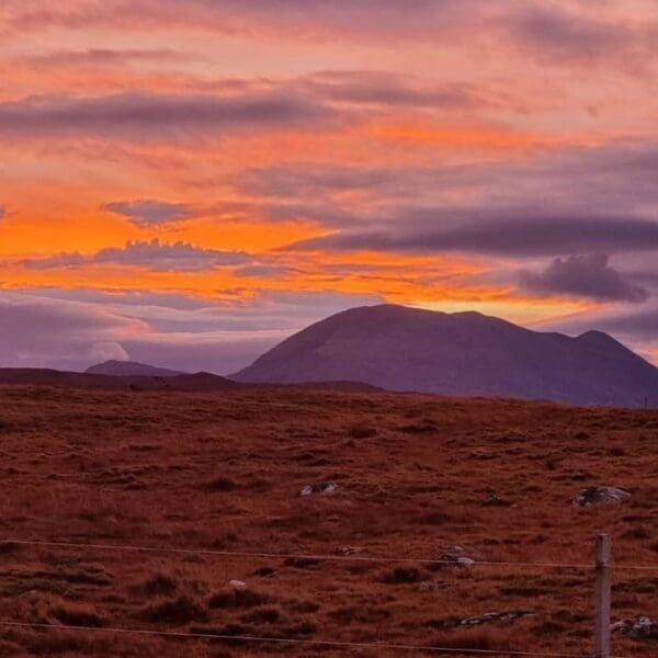 Munro House- Croft148