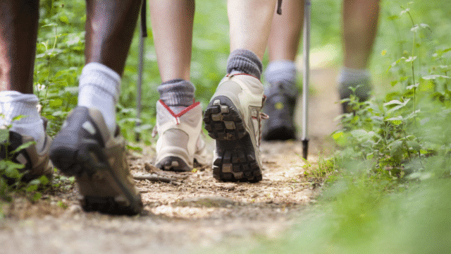 Achvarasdal Wood and Broch