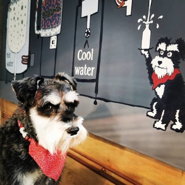 Mr Mackintosh in front of an information display about distilling.