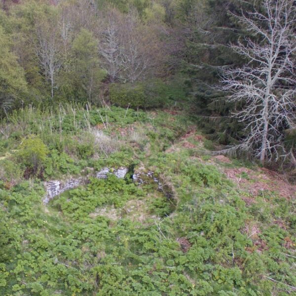 Achavarasdal Broch within the forest, image from Caithness Broch project