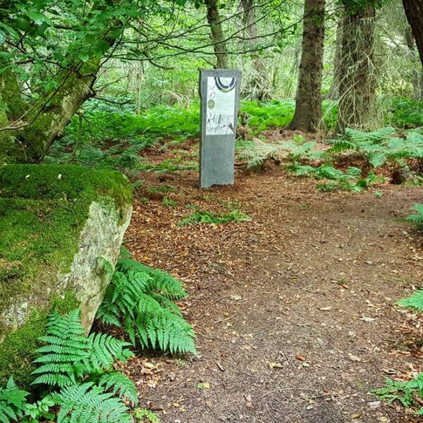 A sign in the Achavarasdal woods about the local Broch, from the Caithness Broch Project