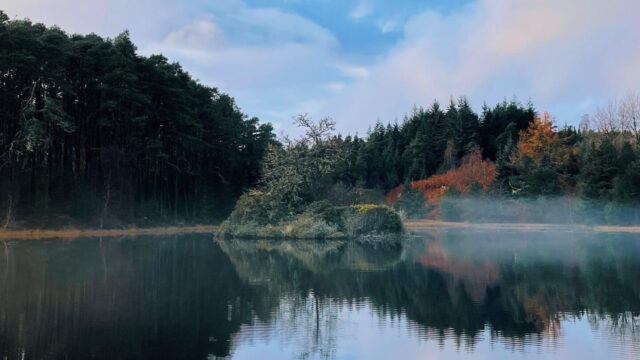 Carbisdale Forest Walk