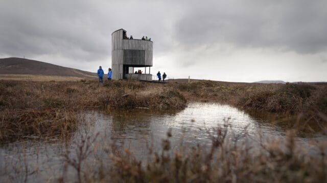 Forsinard Flows Nature Reserve (Flow Country)