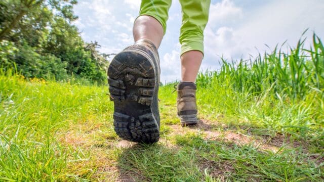 The Hill o’ Many Stanes