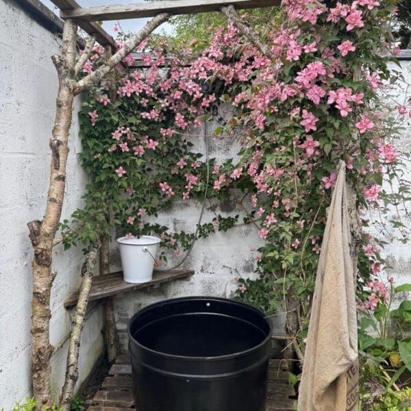 Fiddler's Green Veggie garden shower