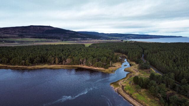 Loch Fleet Nature Reserve