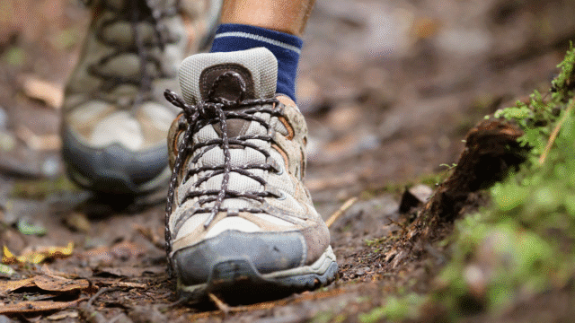 Flows of Leanas Walk (Camster Wind Farm)