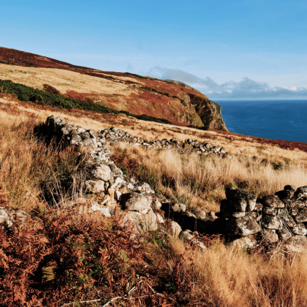 Remains of a clearance croft with a view across the coastline, in Badbea, Sutherland