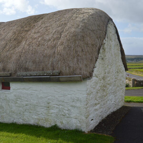 A photo showing the exterior of the Laidhay Croft museum, shows the thatch roofing on the building