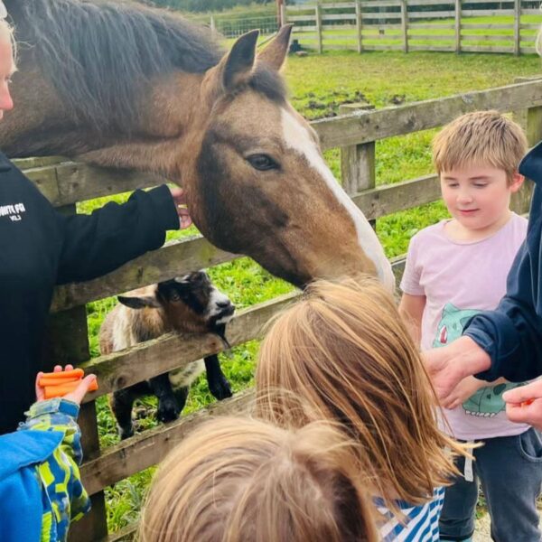 Lochview Rural Training