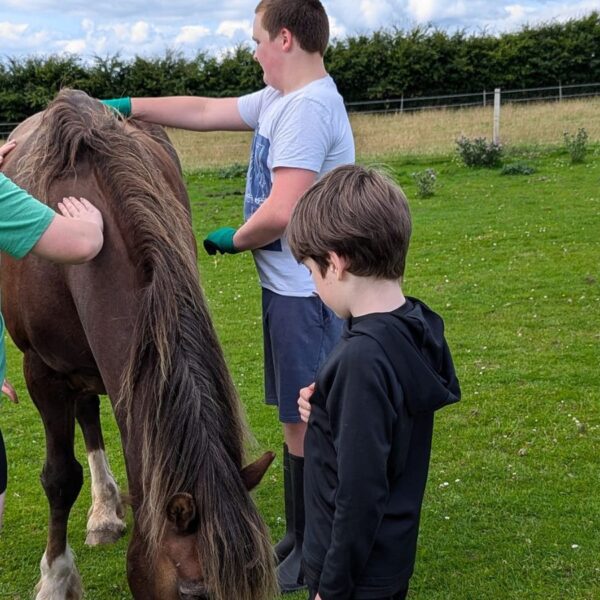 Lochview Rural Training