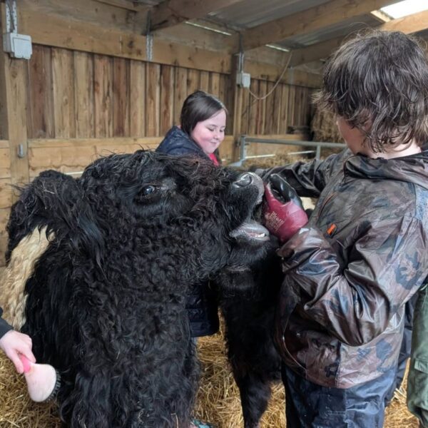 Lochview Rural Training